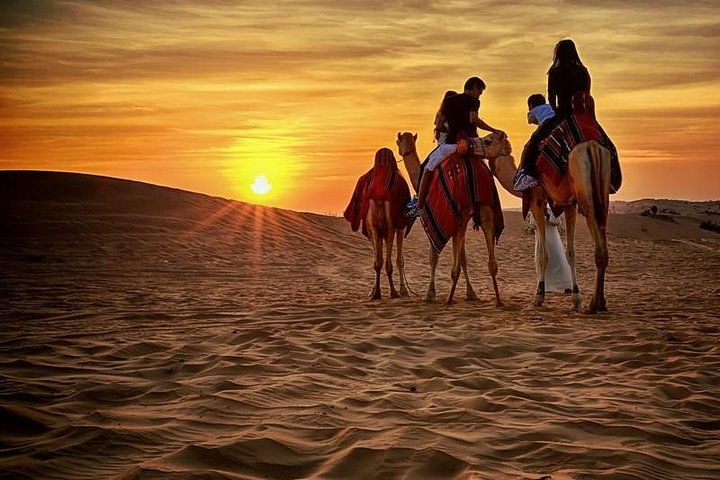 Experience the stunning beauty of Dubai's Red Dunes Desert where the sun sets over golden sands as you embark on a memorable camel trek amid breathtaking surroundings.